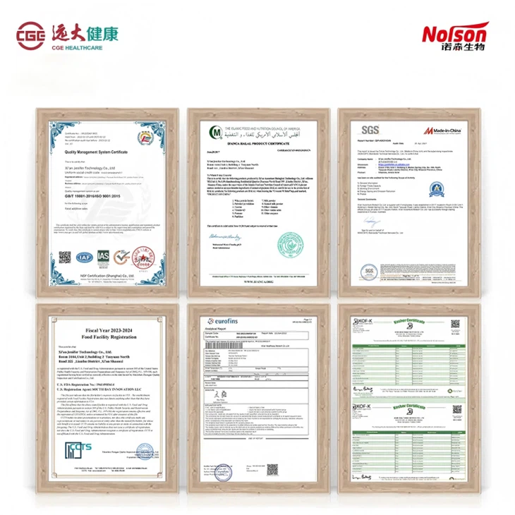 Lactobacillus Gasseri