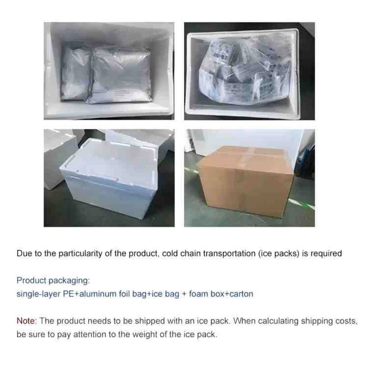 Streptococcus Thermophilus