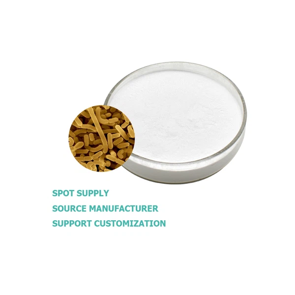 Lactobacillus Bulgaricus Lactobacillus Bulgaricus