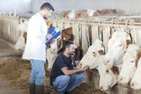 Anwendung von Clostridium Butyricum bei der Viehzucht